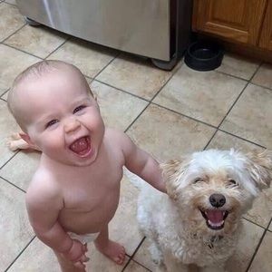 Meet your Posher, Bori